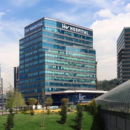 Liv Hospital Vadistanbul 1